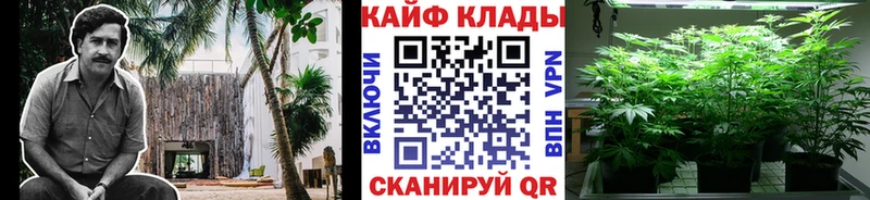 Виды наркоты Кириши Кокаин  Меф мяу мяу  ГАШ 