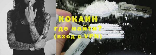 дурь Заводоуковск