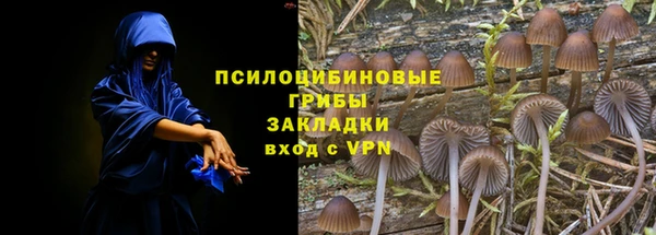 дурь Заводоуковск