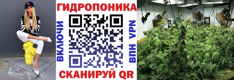 Конопля VHQ как найти наркотики Кириши